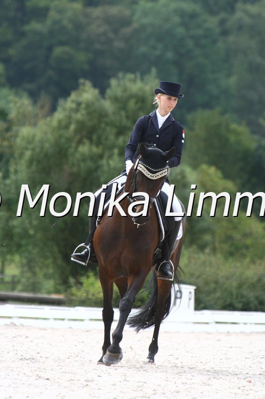 109M0230_Romantic Dream_Dressur L_Finale Franken.JPG